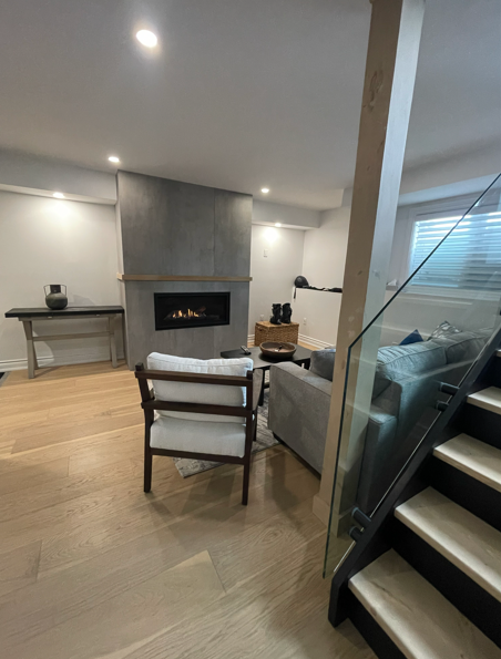 Recent Basement Project