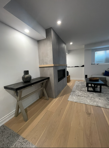 Recent Basement Project