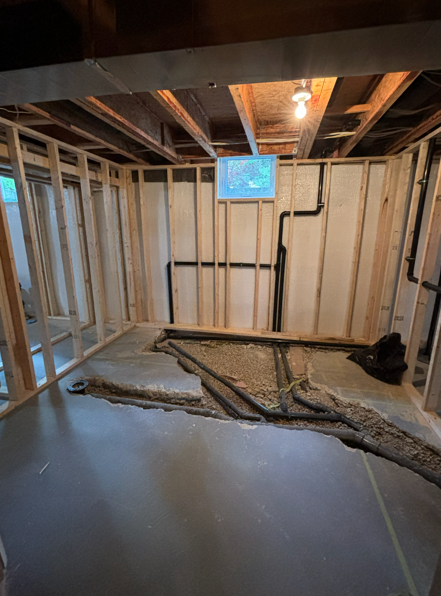 Recent Basement Project