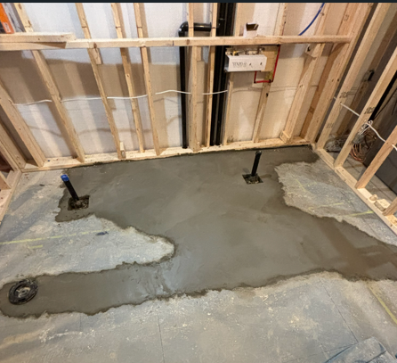 Recent Basement Project