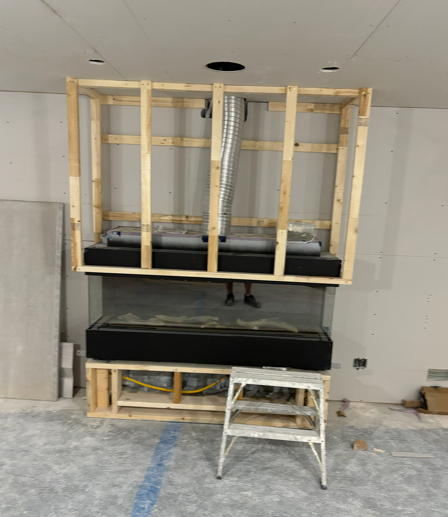 Recent Basement Project