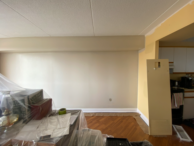 Recent Kitchen Remodel